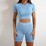 Seamless Activewear- Fitness
