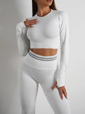 Seamless Activewear- Fitness