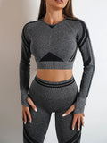 Seamless Activewear- Fitness