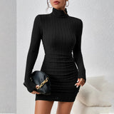 Turtleneck Long Sleeves Mini Bodycon Dress