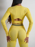 Seamless Activewear- Fitness