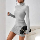 Turtleneck Long Sleeves Mini Bodycon Dress