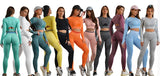 Seamless Activewear- Fitness