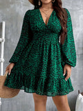 V-Neck Leopard Print Long-Sleeve Dress