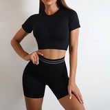 Seamless Activewear- Fitness