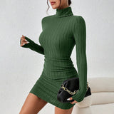 Turtleneck Long Sleeves Mini Bodycon Dress