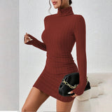 Turtleneck Long Sleeves Mini Bodycon Dress
