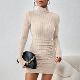 Turtleneck Long Sleeves Mini Bodycon Dress