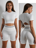 Seamless Activewear- Fitness