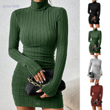 Turtleneck Long Sleeves Mini Bodycon Dress