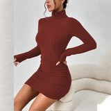 Turtleneck Long Sleeves Mini Bodycon Dress