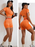 Seamless Activewear- Fitness