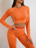 Seamless Activewear- Fitness