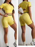 Seamless Activewear- Fitness