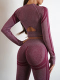 Seamless Activewear- Fitness