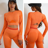 Seamless Activewear- Fitness
