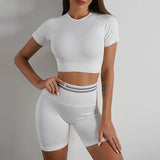 Seamless Activewear- Fitness