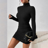 Turtleneck Long Sleeves Mini Bodycon Dress