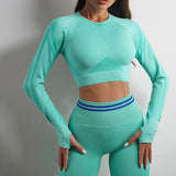 Seamless Activewear- Fitness