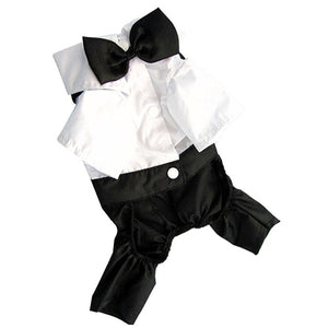 Princeton Tuxedo Bow Tie Suit for Dogs