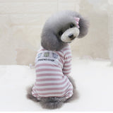 Comfy Pajamas for Small Pets