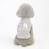 Comfy Pajamas for Small Pets
