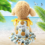 Summer Dresses for Pets