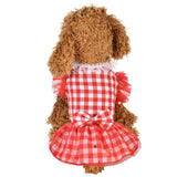 Summer Dresses for Pets