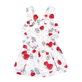 Summer Dresses for Pets