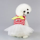 Summer Dresses for Pets