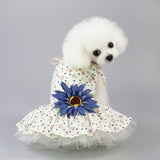 Summer Dresses for Pets