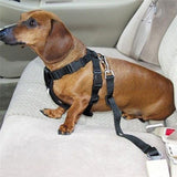 Car Safety Pet Seat Belt Harness
