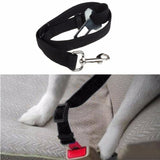Car Safety Pet Seat Belt Harness