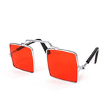 Pet Sun Glasses