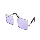 Pet Sun Glasses