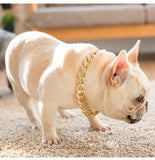 Plastic Punk Gold Dog Chain Collar
