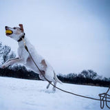 Dog Leash Nylon Long Tracking Round Rope Outdoor Walking Training Leash
