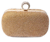 Diamond-Studded Clutch w/Chain