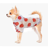 Dog Raincoat w/ Hoodie