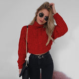 Retro Twisted Turtleneck Sweater