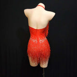 Long Fringe Sleeves Performance Dance Costume